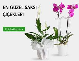 İzmir Çiğli Çiçekçi
