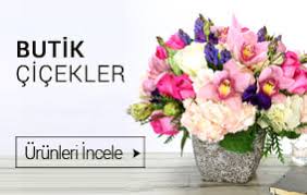 Atatürk Organize Sanayi Bölgesi çiçek   saksı çiçekleri