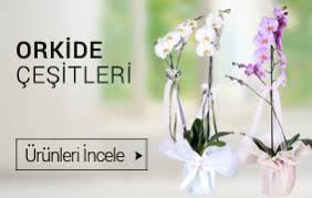 İzmir Menemen çiçekçiler butik çiçekler